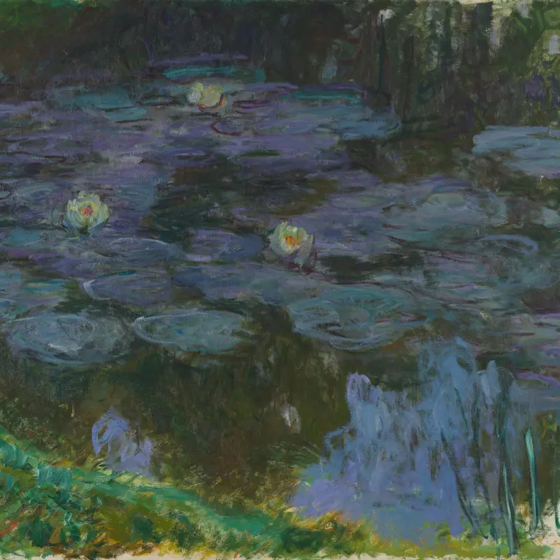 Water-lilies