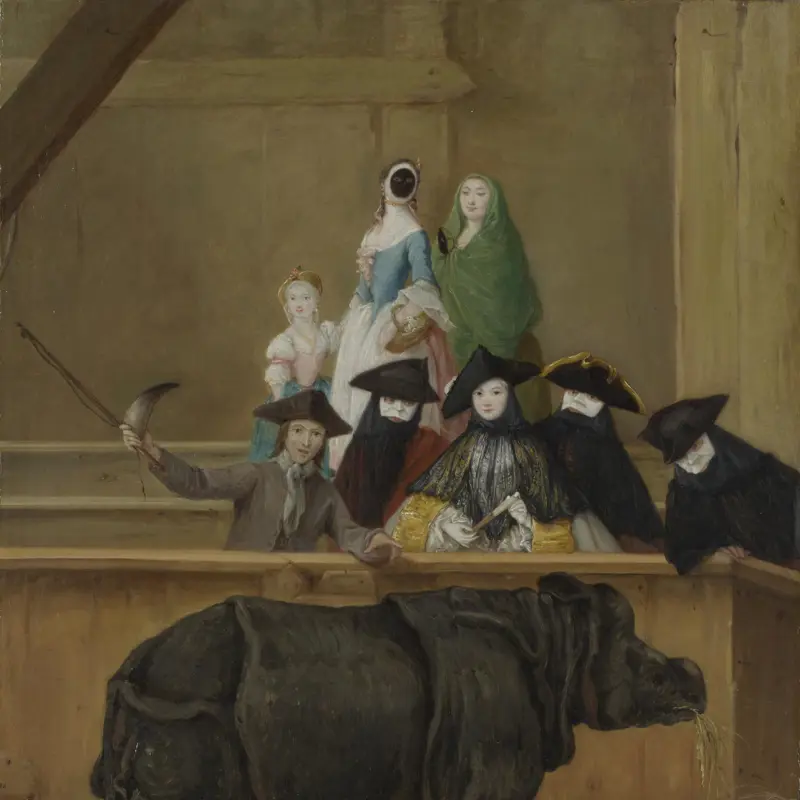 Exhibition of a Rhinoceros at Venice