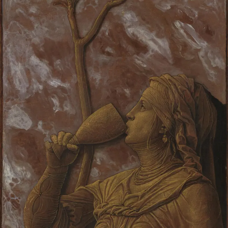 A Woman Drinking