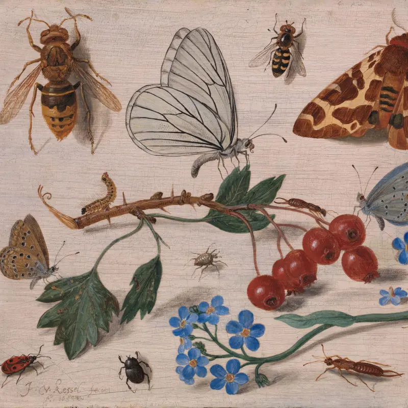 Insects with Common Hawthorn and Forget-Me-Not